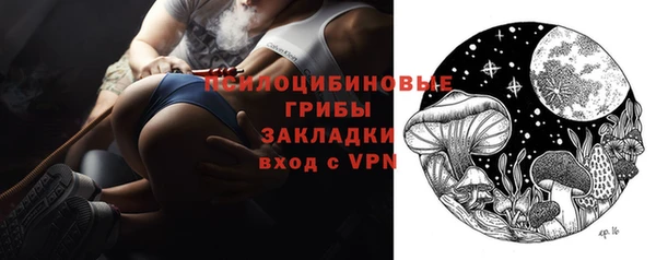 индика Нея