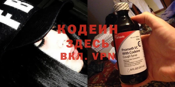 индика Нея